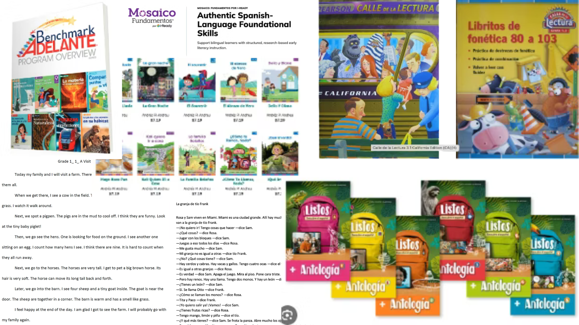 Spanish-First & Bilingual Curriculum Development