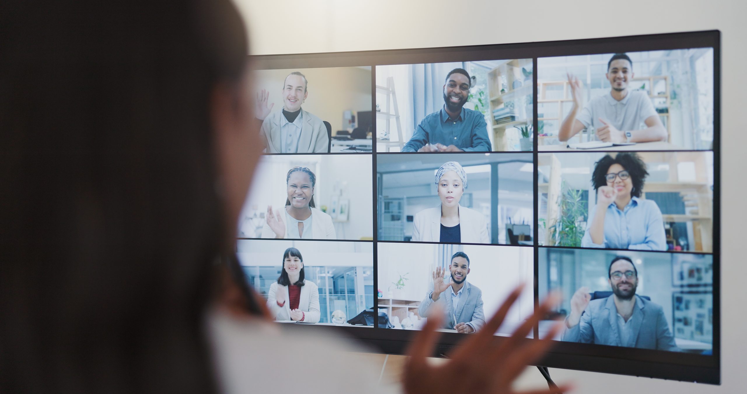 Professionals attend an online workshop